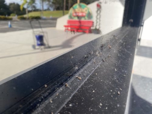 Window-Cleaner-Melbourne-FL-56