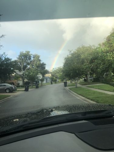 Window-Cleaner-Melbourne-FL-7 (1)